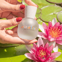 Aria ai Fiori