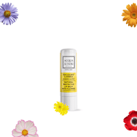 Balsam de Buze Protector