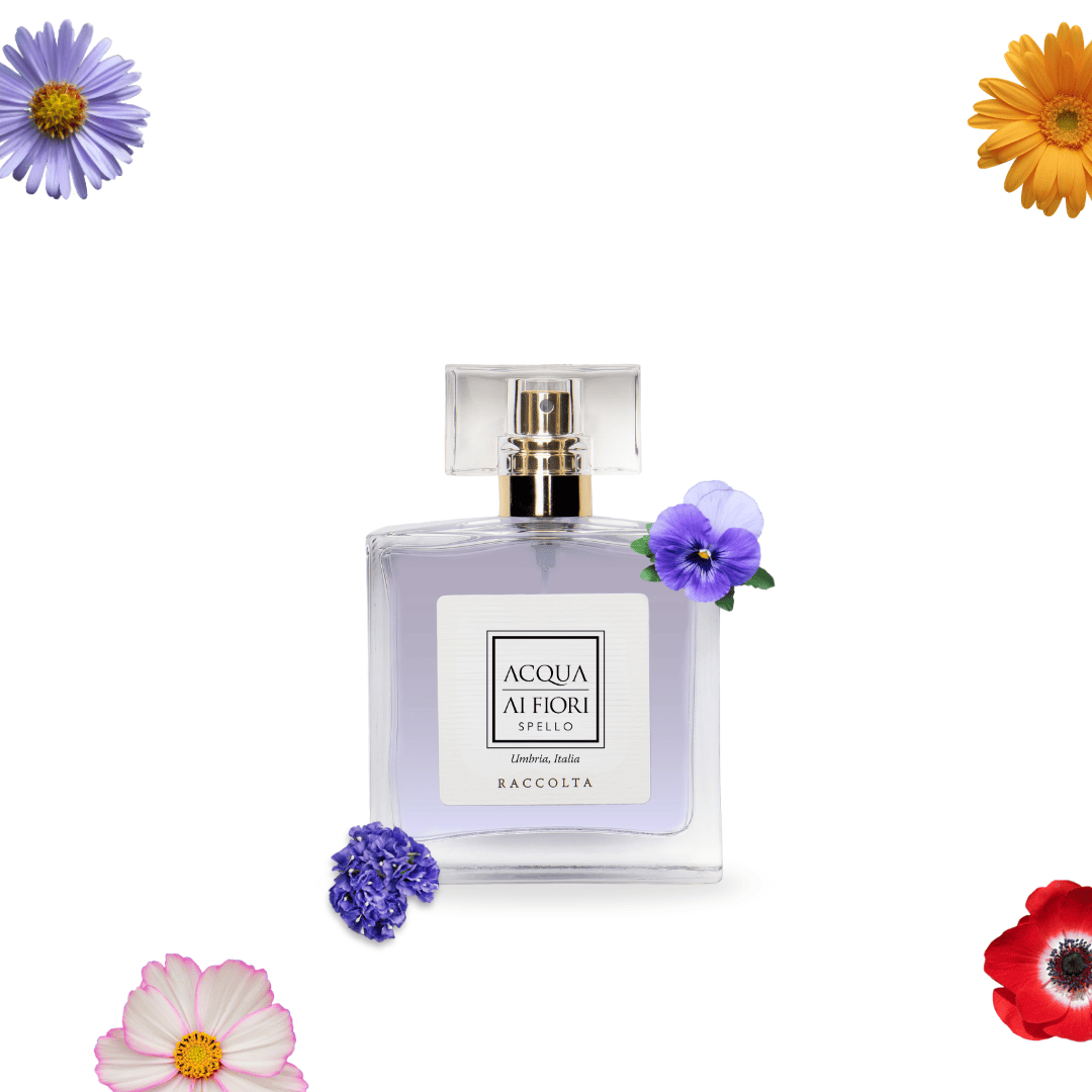 Raccolta Eau de Parfum 50ml