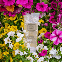 Flori Acqua ai Fiori
