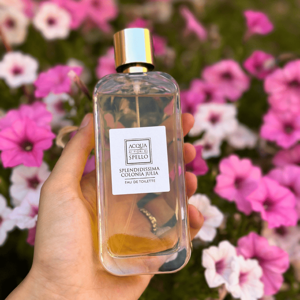Splendidissima Colonia Julia EDT